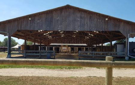  Pension pour chevaux à Rouen 