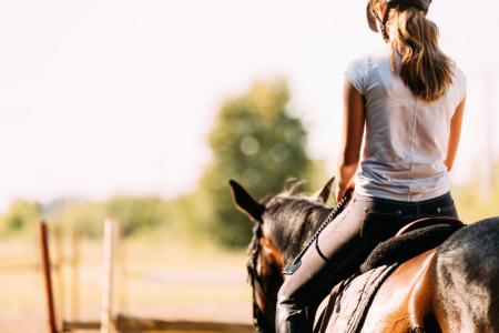Cours d'équitation galops 1 à 7 Cours d'équitation galops 1 à 7
