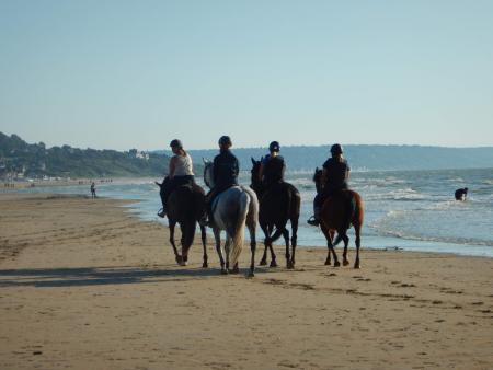 Randonnées à cheval - Tourisme équestre à Rouen Randonnées à cheval - Tourisme équestre à Rouen