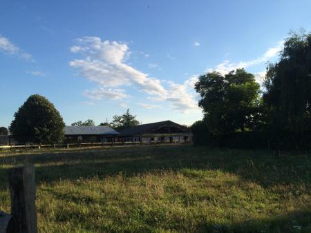 Retraite pour chevaux à Caumont - Centre équestre près de Rouen