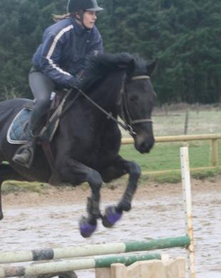 Parcours équestres lors de nos cours d'équitation