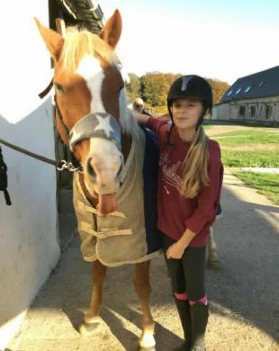 Votre équidé, un compagnon idéal pour vos cours d'équitation