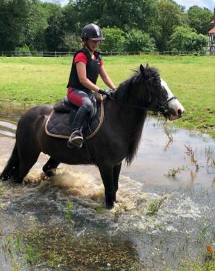 Promenade à cheval 