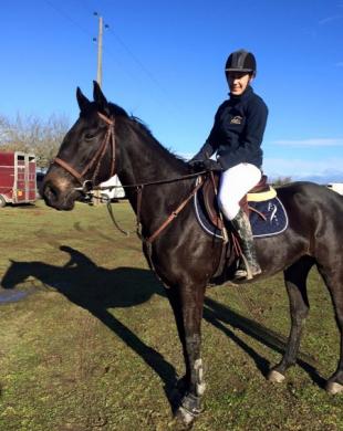 Cours d'équitation