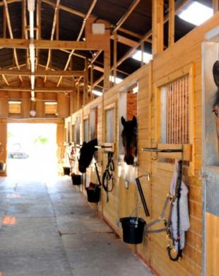 Box intérieurs pour chevaux