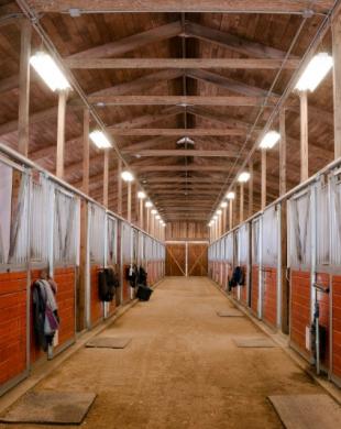 Box à chevaux à Caumont  - Centre équestre près de Rouen