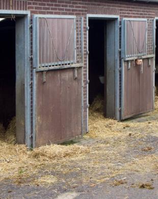 Box pour chevaux - Demi pension