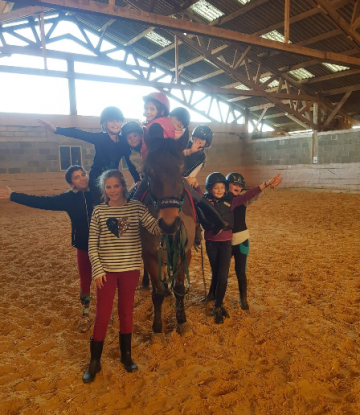 Stages équitation à Caumont