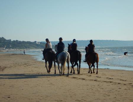 Randonnées à cheval - Tourisme équestre à Rouen