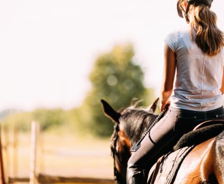 Cours d'équitation galops 1 à 7