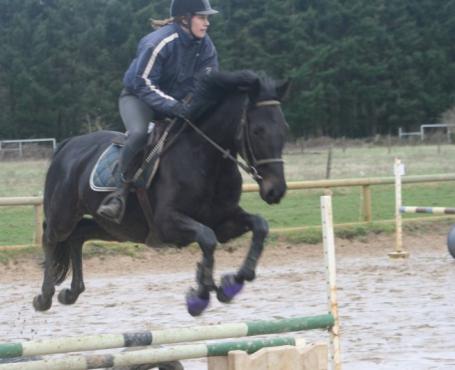 Parcours équestres lors de nos cours d'équitation