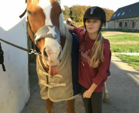 Votre équidé, un compagnon idéal pour vos cours d'équitation