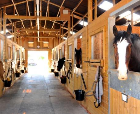 Box intérieurs pour chevaux