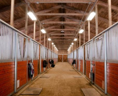 Box à chevaux à Caumont  - Centre équestre près de Rouen