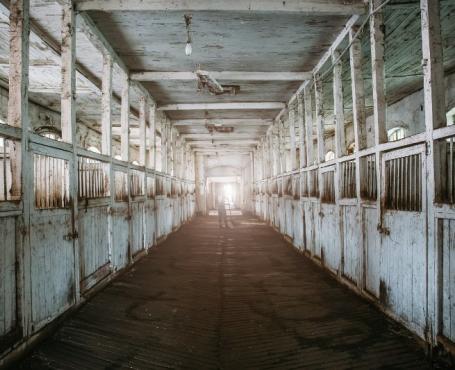 La maison du cheval au centre équestre de Caumont