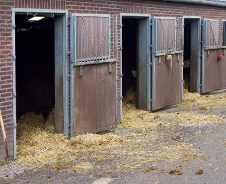 Box pour chevaux - Demi pension